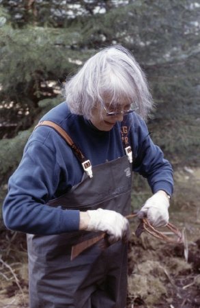 Delores Churchill preping Spruce root