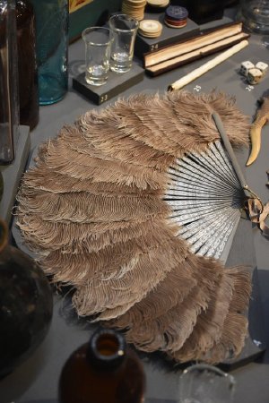 Ostrich feather fan on display