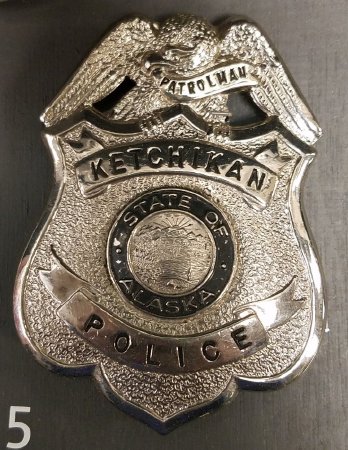 Badge, Law Enforcement                  