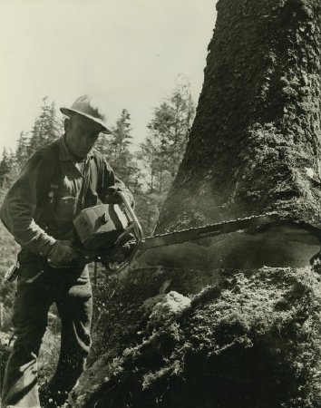 Logger with chainsaw