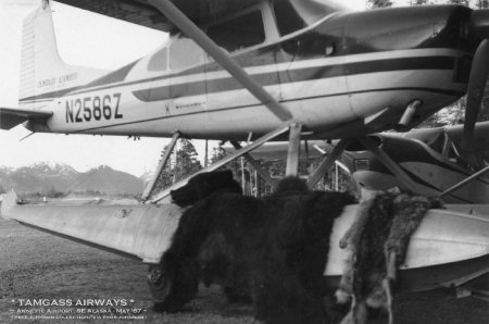 Tamgass Airways Cessna 185 with Animal Hides at Annette Airport, 1967