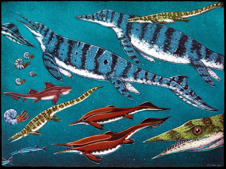 Triassic Sea Life of Alaska, 2013