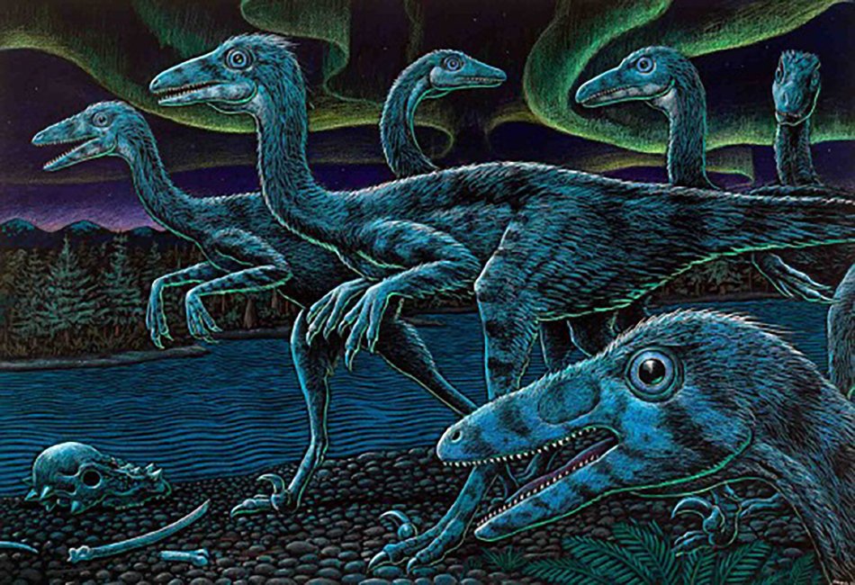 Troodon Pack In The Polar Night