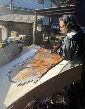 Chevy Horval Uses a Pressure Washer to Prepare the Hides for Tanning