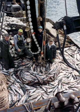 First Deck Load of the Day Caught Before 11:00 AM!