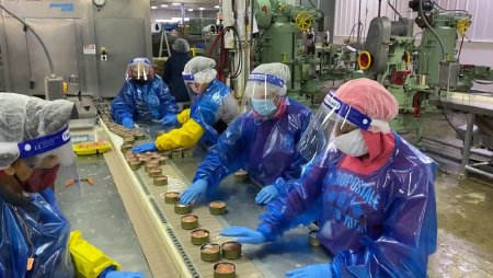 Processing Salmon During the Pandemic, 2020