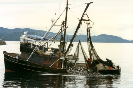 F/V <i>Viking Maid</i> Hauling in the Second Load of the Day