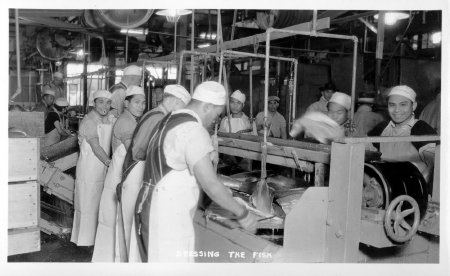 Cleaning Fish on the Slime Line at Sunny Point Cannery, circa 1930