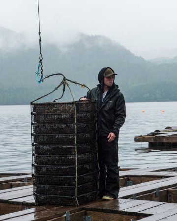 Shawn Sande with Stack of Oyster Trays, 2023