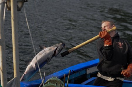 Charlie Ratzat lands a king salmon