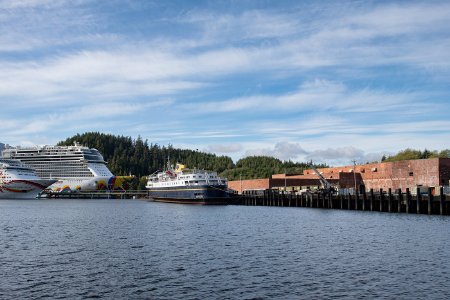 Cruise Ships Docked at Ward Cove