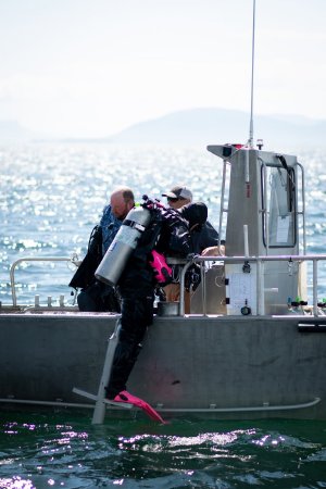 Diver Whitney Crittenden Climbs a Ladder into the Dive Skiff