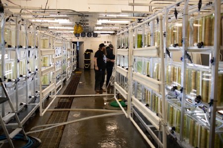 OceansAlaska Kelp Nursery