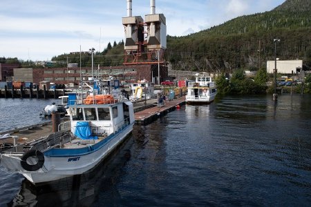 Lighthouse Excursions' Dock at Ward Cove