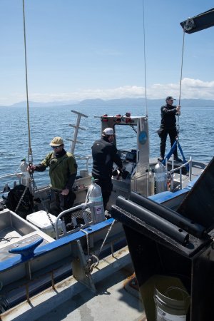 Dive Skiff Being Lowered into the Water