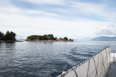 Approaching Guard Island