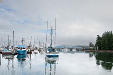 Craig Harbor