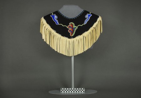 Collar with CM ruler