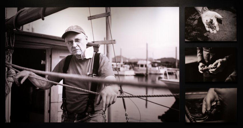 Digital (History Afloat 2025)           