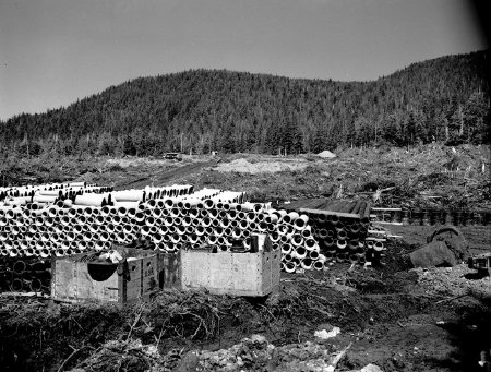 Tongass View housing project construction materials