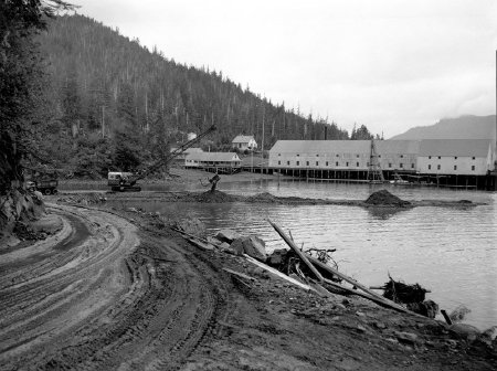 George Inlet Cannery, 1953
