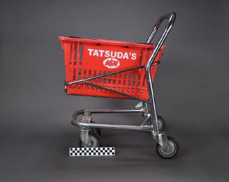 Shopping cart with CM ruler